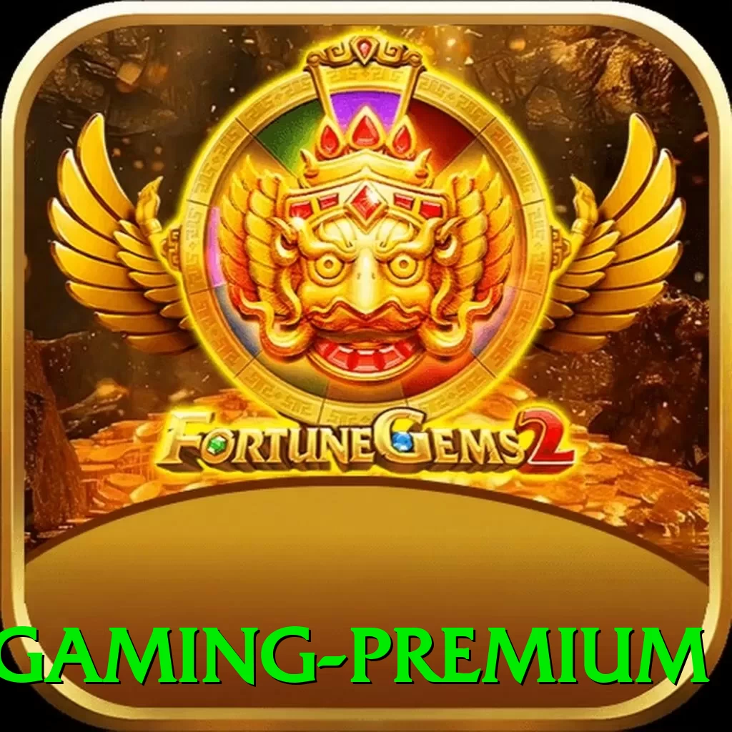 frwin - Gaming Premium - pak